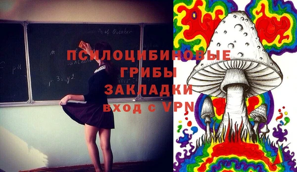 дживик Горнозаводск