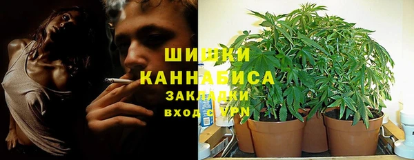 прущие крисы Горняк