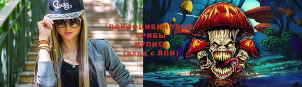 дживик Сясьстрой