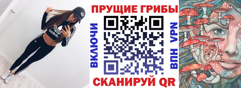 Псилоцибиновые грибы Magic Shrooms  Салават 